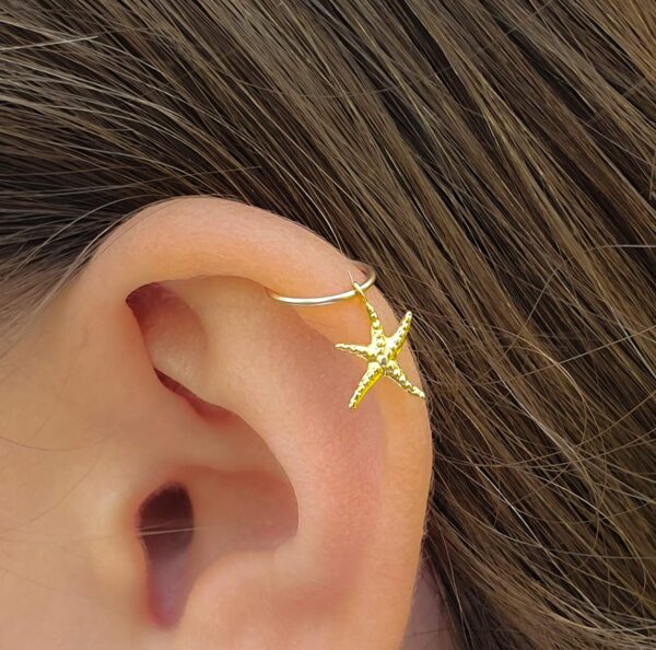 star helix earring