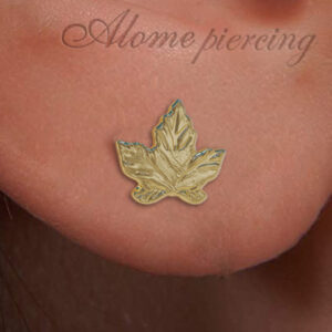 ear studs set leaf